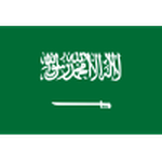 Saudi-Arabien Logo